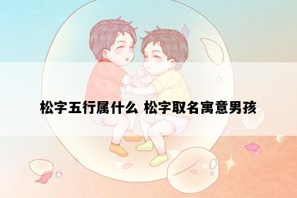 松字五行属什么 松字取名寓意男孩