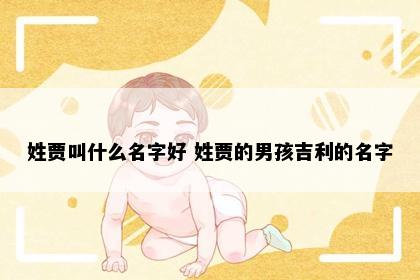 姓贾叫什么名字好 姓贾的男孩吉利的名字