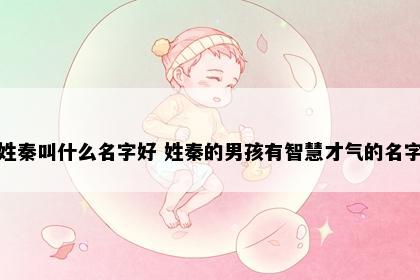 姓秦叫什么名字好 姓秦的男孩有智慧才气的名字