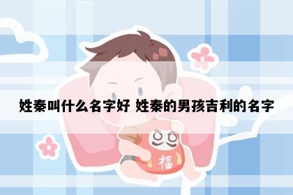 姓秦叫什么名字好 姓秦的男孩吉利的名字
