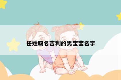 任姓取名吉利的男宝宝名字