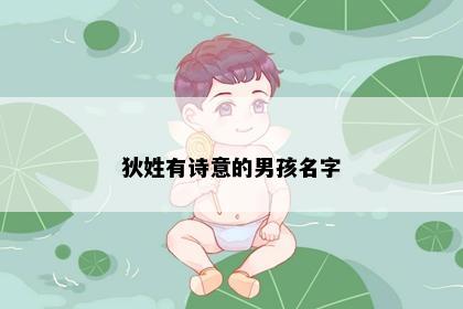 狄姓有诗意的男孩名字